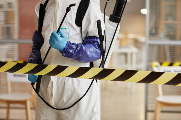 Professional Sewage Cleanup technician working in Imperial, NE